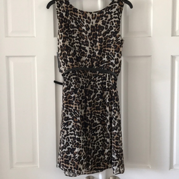 🆕 Leopard Print Dress - Picture 4 of 5